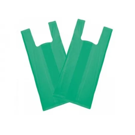 SACOLA VERDE RECICLADA